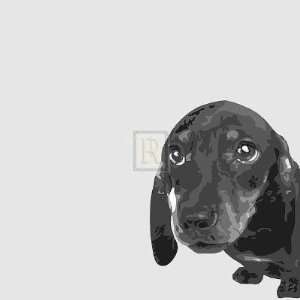  Emily Burrowes   Dachshund