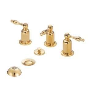  Danze Bidet Faucets D326055PBV Polished Brass PVD