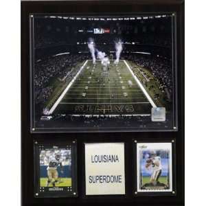  NFL Louisiana Superdome Stadium Plaque
