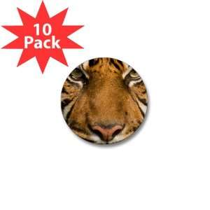  Mini Button (10 Pack) Sumatran Tiger Face 