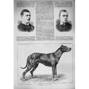 1884 Dog Sultan Antique Portrait Wade Penley 
