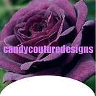 Cala Nail Art FRENCH Rose Water Decals Stickers 86 223  