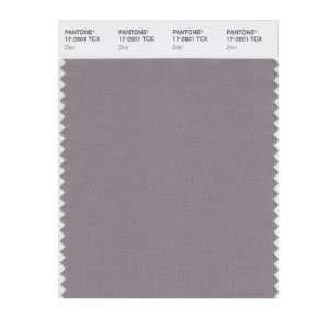  PANTONE SMART 17 2601X Color Swatch Card, Zinc