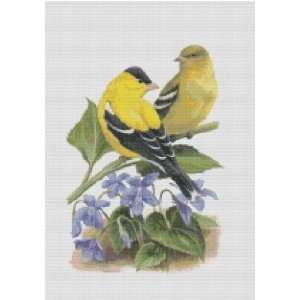 New Jersey State Bird and Flower Counted Cross Stitch Pattern 