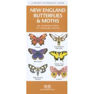    Waterford New England Butterflies & Moths Patio, Lawn & Garden