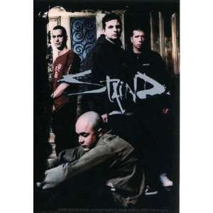  Staind Group