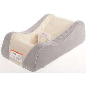 Nap Nanny CH6080 Chill Platinum