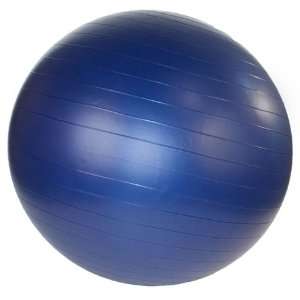 Stability Exercise Ball 55 cm with Pump (Pearl Blue)  