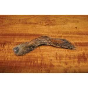  Pine Squirrel Tail