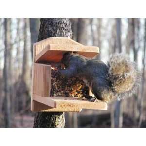   Choice Natural Cedar Squirrel Munch Box Feeder Patio, Lawn & Garden