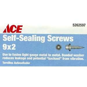  Gilmour ACE 46166 ACE SELF PIERCING/SEALING SCREW