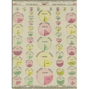  McNally 1895 Antique Chart of U.S. Population by Color and 