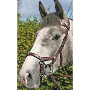  Rambo Micklem Multi Bridle Brown, Cob