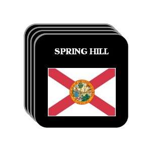  US State Flag   SPRING HILL, Florida (FL) Set of 4 Mini 