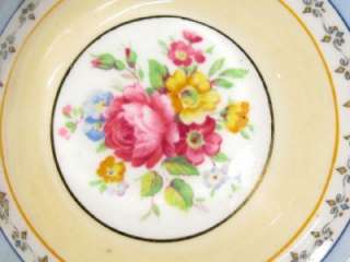 Simply Stunning Royal Stafford PINK ROSES BLUE YELLOW Tea Cup and 