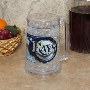  Tampa Bay Rays 16oz. Hi Def Freezer Mug