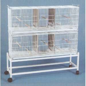   Of 38 x 11 x 15H Cages *White* And One Stand White