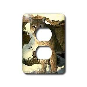  Wild animals   Cougar   Light Switch Covers   2 plug 
