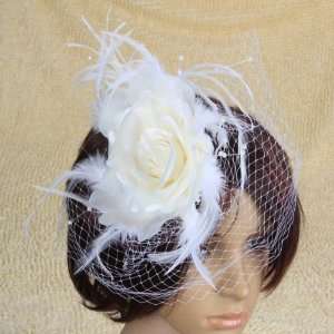   and Feather Birdcage French Net Bridal Wedding Veil Fascinator   White