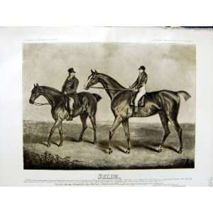   1890 Prince Wales Race Horses Selim Jockey Sport Print