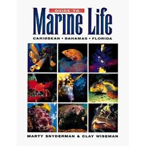   Life Caribbean Bahamas Florida [Paperback] Marty Snyderman Books