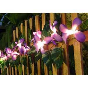   Frangipani Flower Party String Lights (20/set)