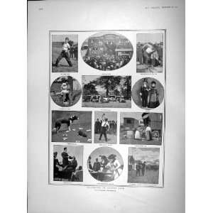  1902 BARNET FAIR CATTLE COCKLES PERFORMING DOG SHOW