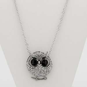  Jewelry Silvertone Metal Crystal Owl Pendant and Chain Jewelry