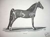 Shetland Hackney Cross PONY Horse B/W Print J MELLIN  