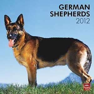  2012 German Shepherds Calendar