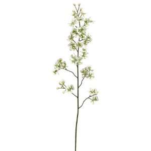  44 Sharry Oncidium Orchid Spray Cream Green (Pack of 6 