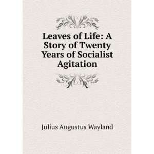   of Twenty Years of Socialist Agitation Julius Augustus Wayland Books