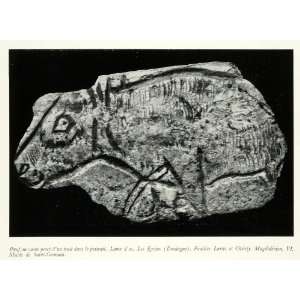  1953 Print Ox Cow Archaeology Carving Stone Paris France 