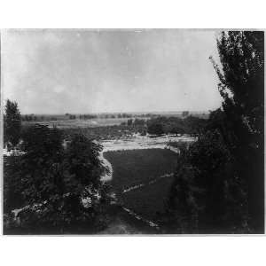    Orchard,Vineyard,Kern County,California,CA,1890