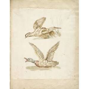     Jean Baptiste Oudry   24 x 32 inches   Two Birds Taking Flight