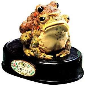  Froggy Frolic Motion Detector Sensor