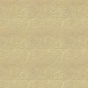  Curtain Call 16 by Kravet Couture Fabric