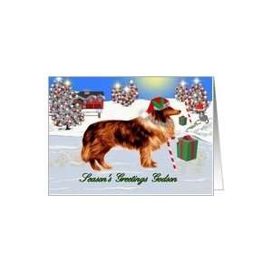  Seasons Greetings ~ Godson ~ Christmas Scene / Collie in 