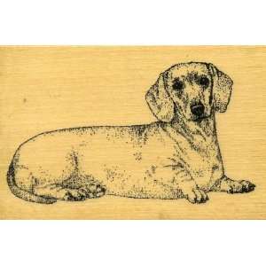  DACHSHUND Rubber Stamp Arts, Crafts & Sewing