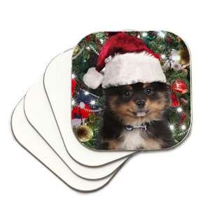  Pomeranian Set of 4 Christmas Coasters