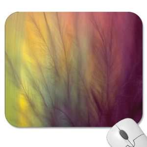   Mouse Pads   Texture   Feather/Feathers (MPTX 108)