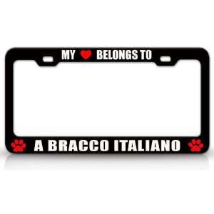 MY HEART BELONGS TO A BRACCO ITALIANO Dog Pet Steel Metal Auto License 