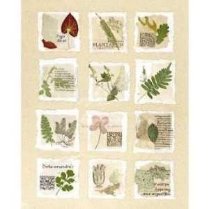 Annabel Hewitt   Surrey Garden Fragments Size 20x16 by Annabel Hewitt 