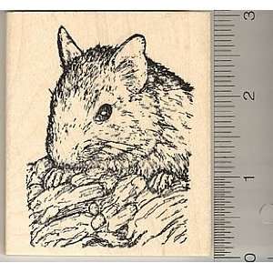  Degu (Brush Tailed Rat) Rubber Stamp Arts, Crafts 
