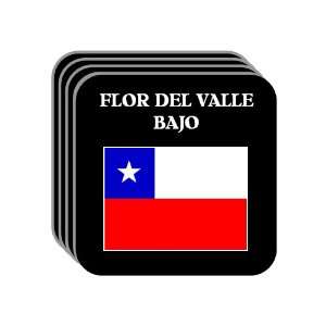  Chile   FLOR DEL VALLE BAJO Set of 4 Mini Mousepad 