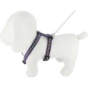   Cheyenne Nylon Roman Dog Harness, 1/2 x 12 20, Purple