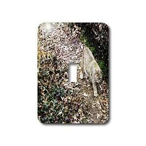   Bobcat   Light Switch Covers   single toggle switch