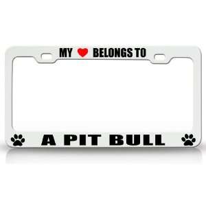 MY HEART BELONGS TO A PIT BULL Dog Pet Steel Metal Auto License Plate 