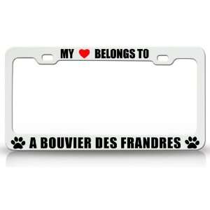  MY HEART BELONGS TO A BOUVIER DES FRANDRES Dog Pet Steel 