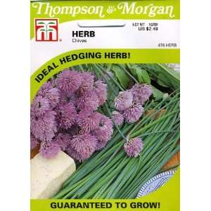  Thompson & Morgan Dill Herb Seed Patio, Lawn & Garden